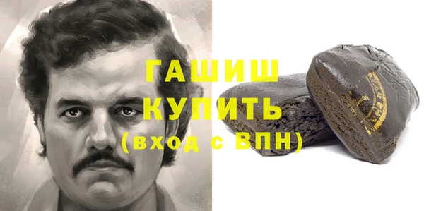 дмт Бородино